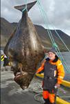Гігантський палтус вагою 220 кілограмів